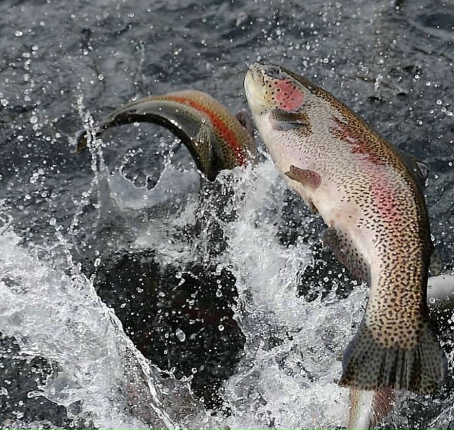 *💫Доброго времени суток уважаемые жители г. ЛАНГЕПАС! ...