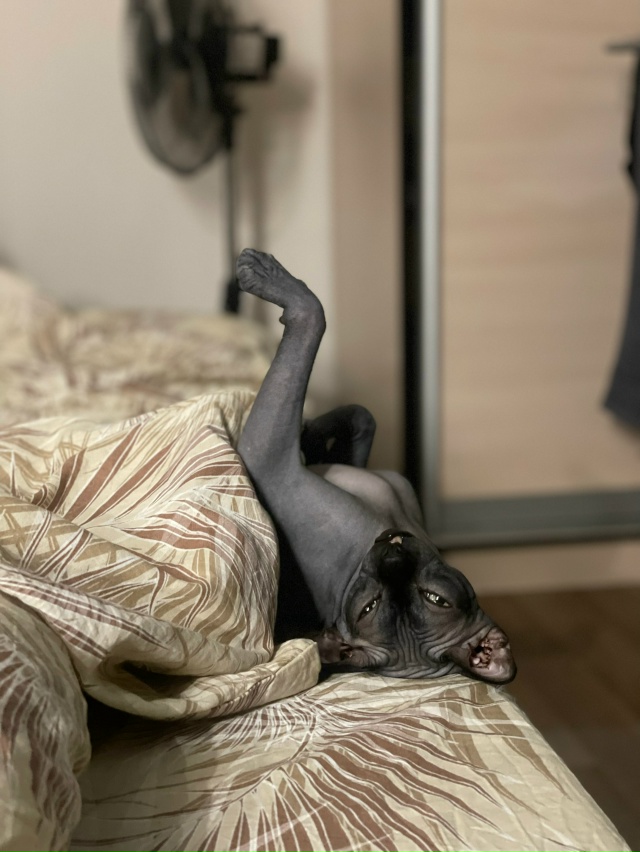 Котосын Лёня