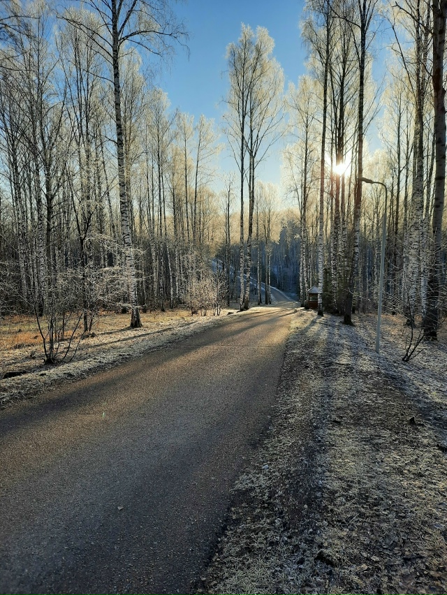 В ожидании зимы.