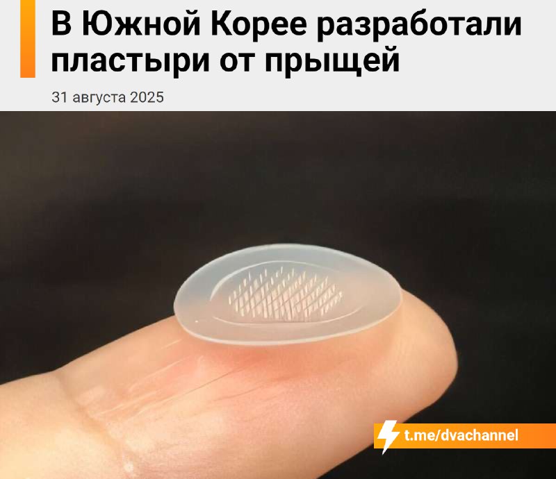 Южнокорейские умельцы создали прозрачные пластыри от… прыщей
Внутри — микрошипы с лекарством. Они л
