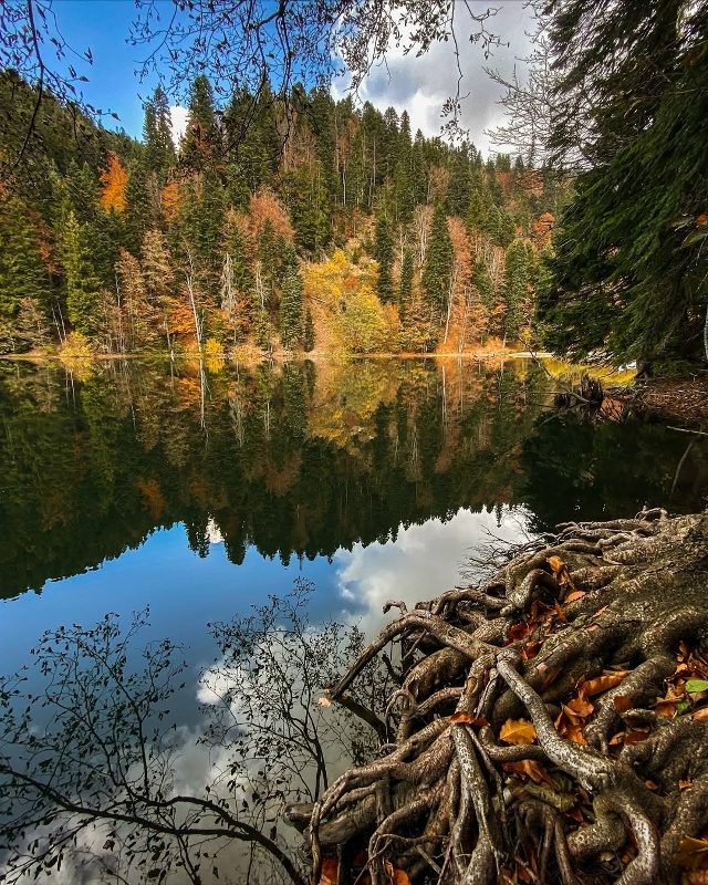Северная Осетия 🇷🇺