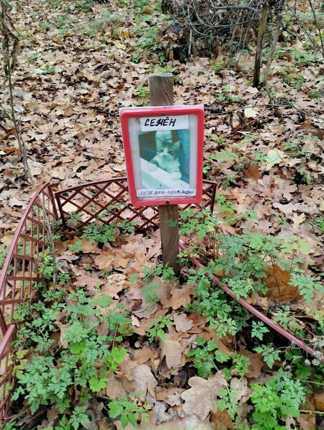 🪦Воронежцы устроили несанкционированное кладбище до...