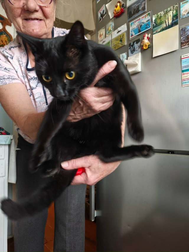 Хозяин, отзовитесь!!! В районе улиц Оплеснина, Железнод?...