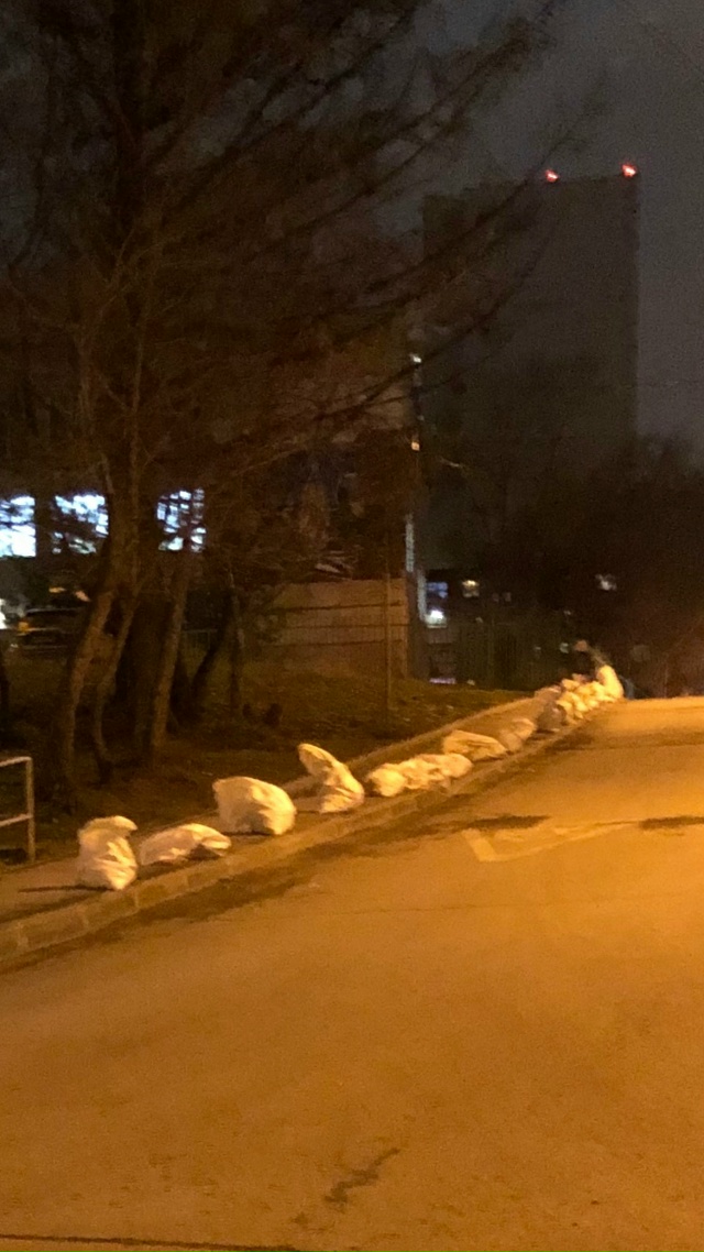 Вот как надо листья убирать.)