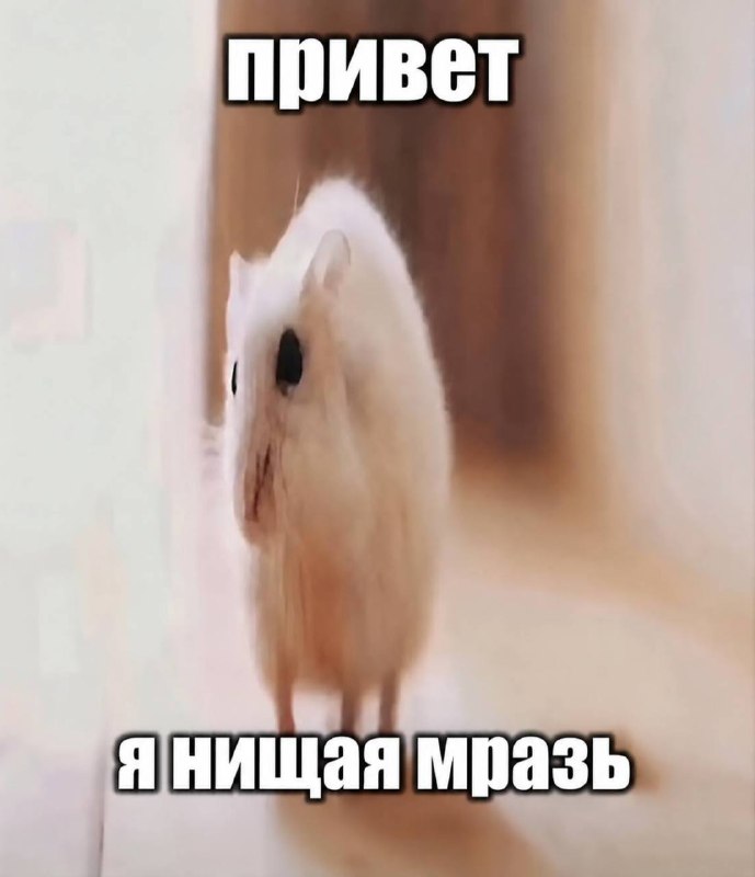 Я: зарабатываю ничем не меньше среднестатистического продавца в зя
Как я себя ощущаю, когда обращаю