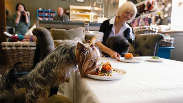 Животных перестанут пускать в кафе и рестораны.
В Гос...