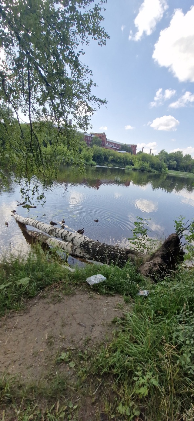 Подписчица негодует:
Добрый день, называется купальны...
