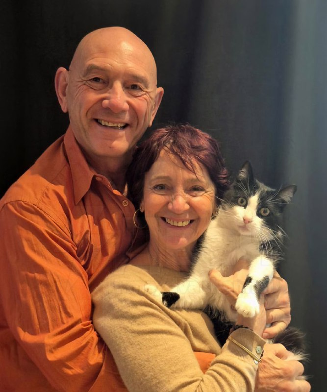 Кот Филу стал знаменитостью во Франции — он потерялся в Испании и сам нашёл дорогу домой
Питомца сл