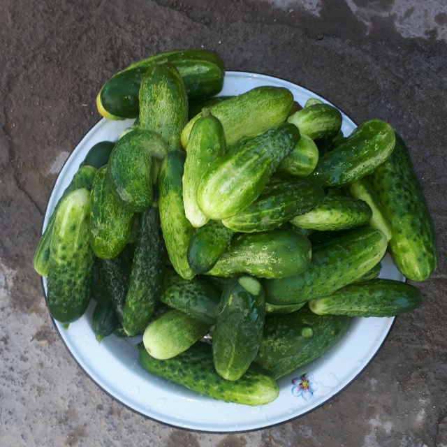 ПРОДАЮТСЯ КРУПНЫЕ МЯСИСТЫЕ ПОМИДОРЫ СО СВОЕГО ОГОРОД?...
