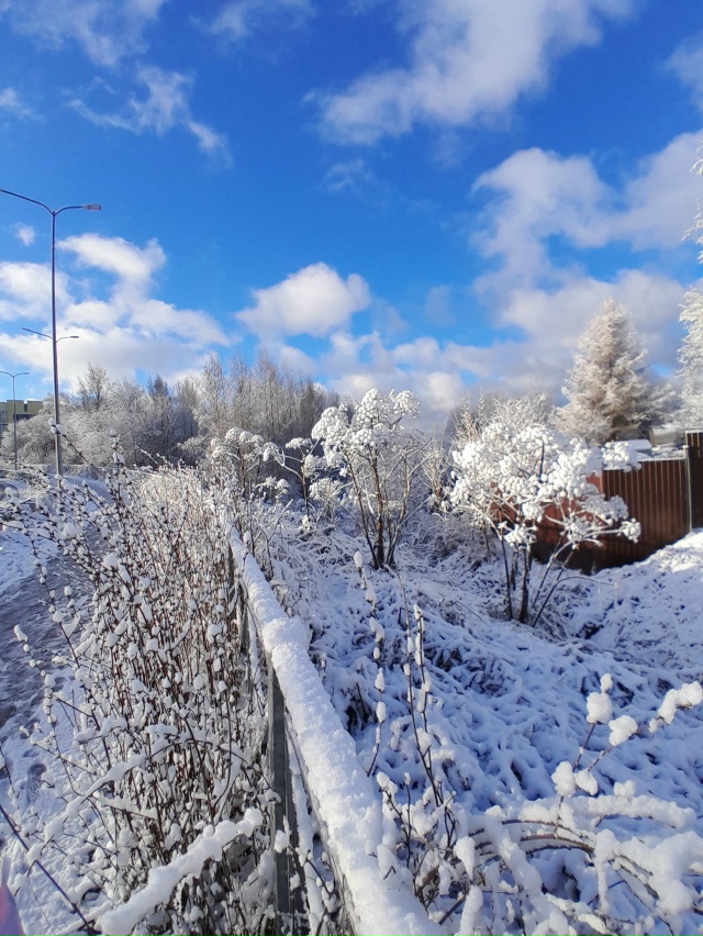 Какой чудесгый день!!!!