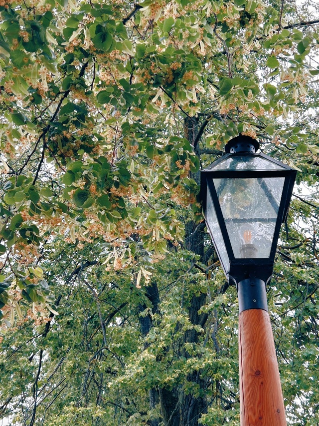 Вот и июль 🌧️
📷 Сергей Чекалов
