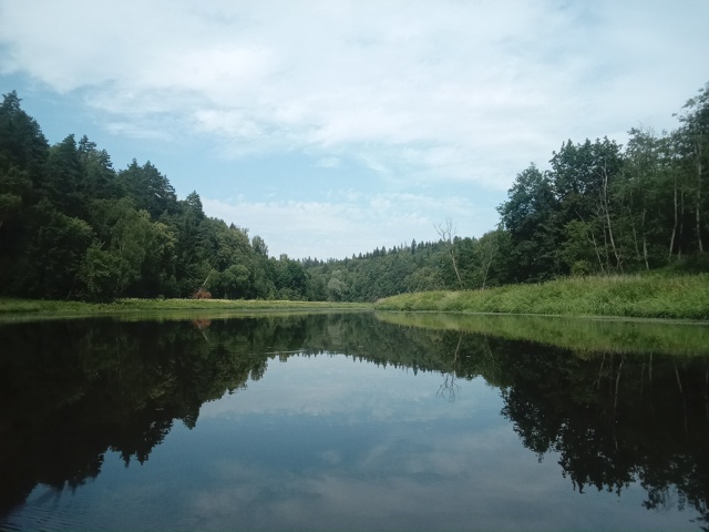 Восхитительные белые кувшинки- подарок во время сплав?...
