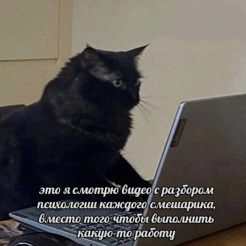 Ночная подборочка
Выходные, не спим