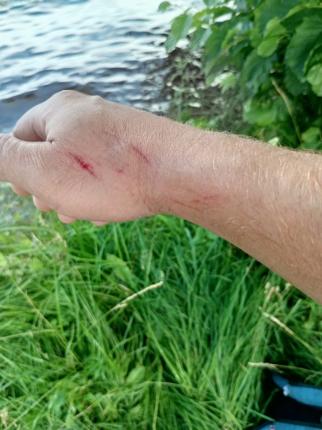 Так называемый 