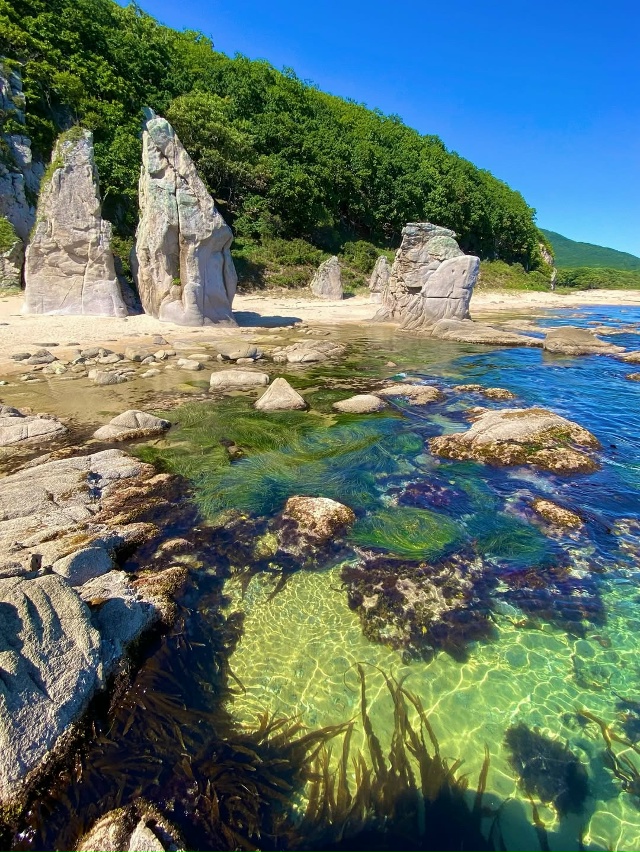 Бухта Заря, Приморский край 🇷🇺