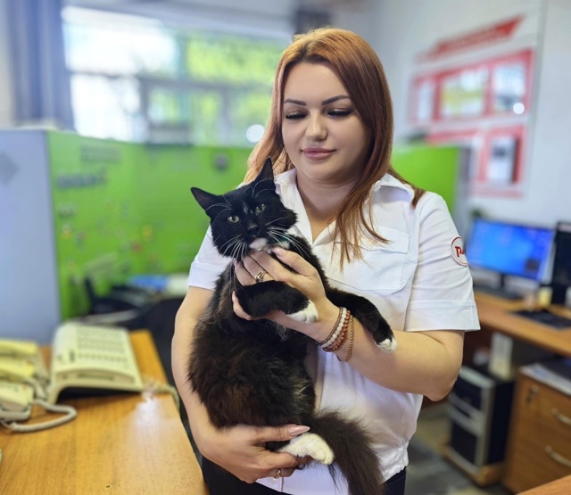 🐱 На ж/д станции во Льговском районе Курской области т...
