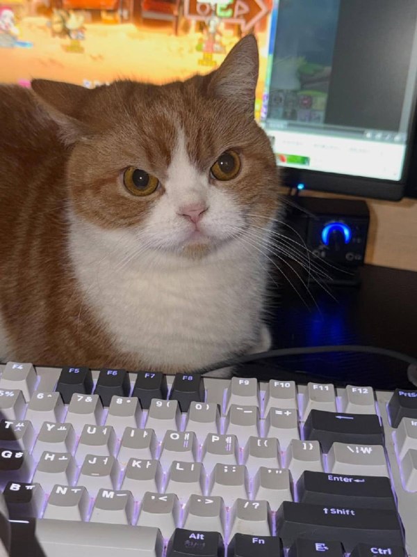 Ето я рабкотаю радостный и полный мотивации