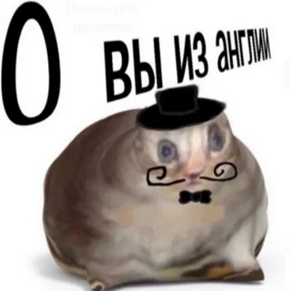 Ну теперь все понятно
