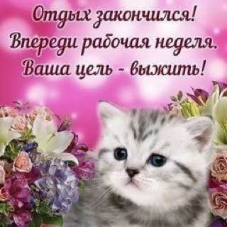 Утренняя подборочка