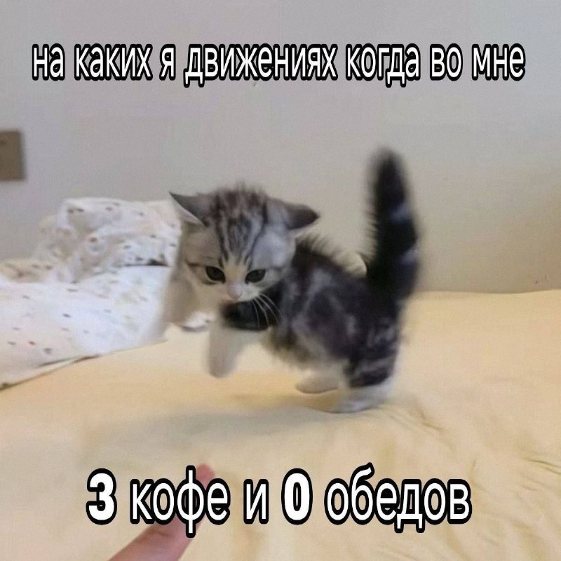 Утренняя подборочка