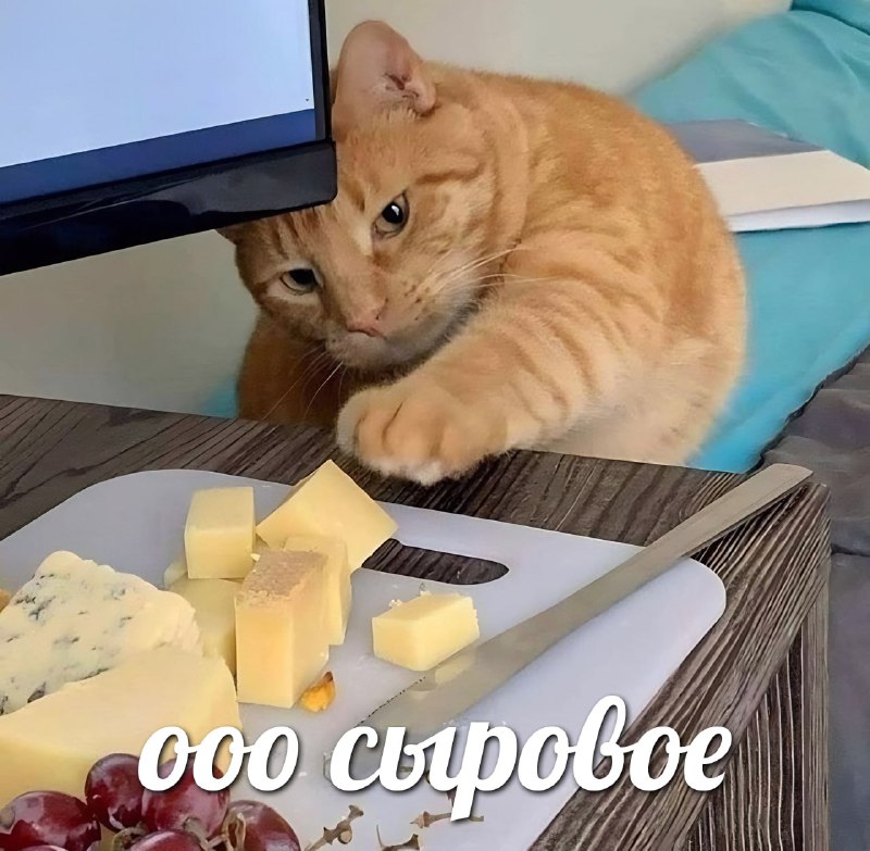 Сегодня отмечается День любителей сыра