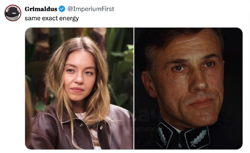 Бренд джинсов обвинили в расизме и пропаганде нацизма из-за… рекламы с Сидни Суини