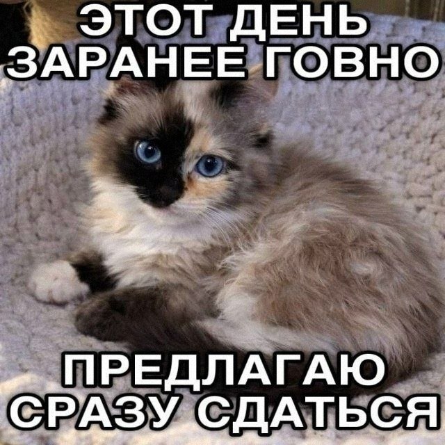 Утренняя подборочка