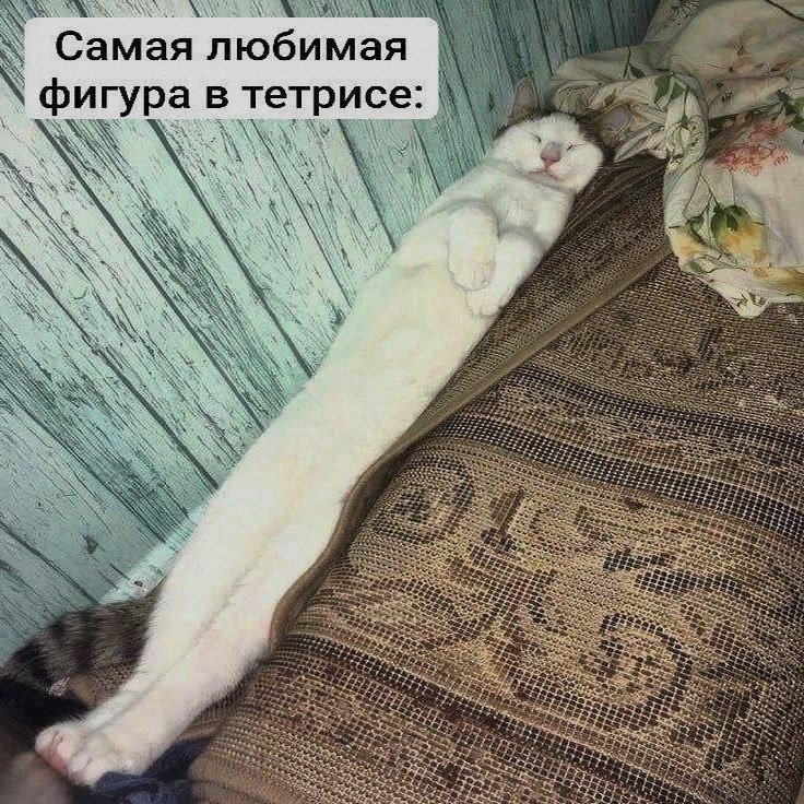 Ночная подборочка
Спать, режим
