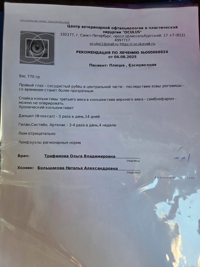Отрадное ЛО
2 сестрички в поиске дома!
Возраст примерно...