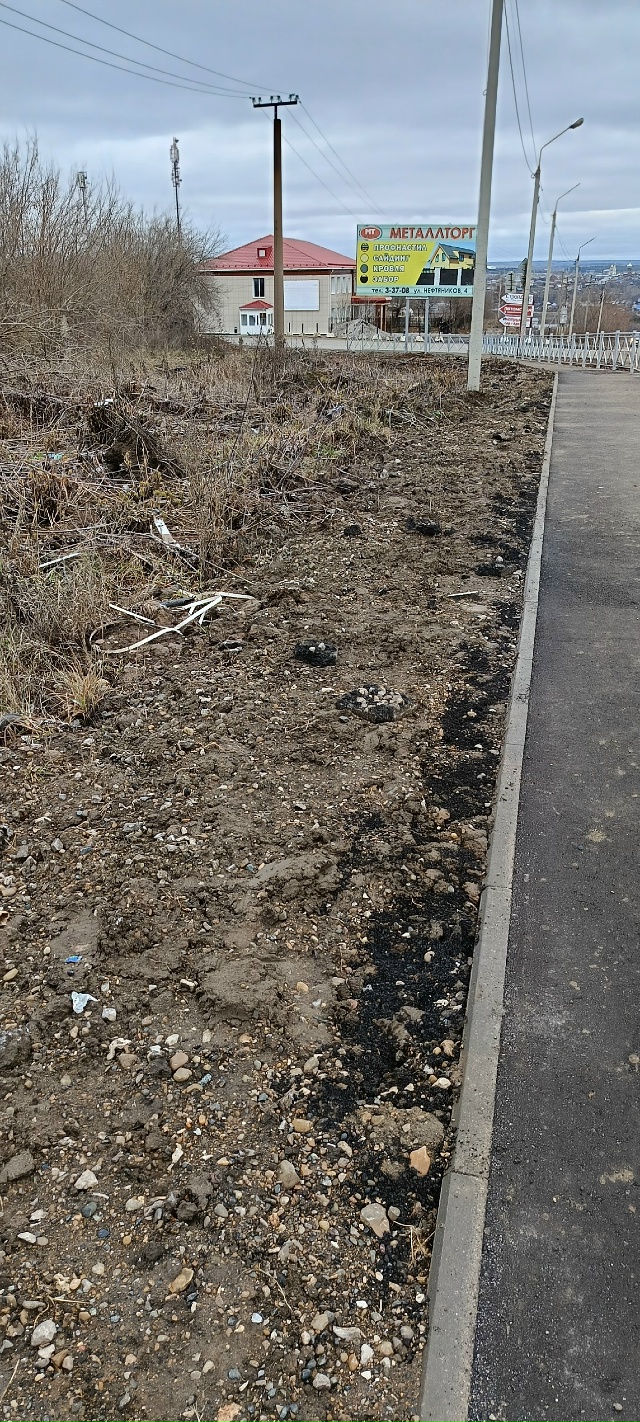 На этот год судя по всему работы по обустройству спуск?...