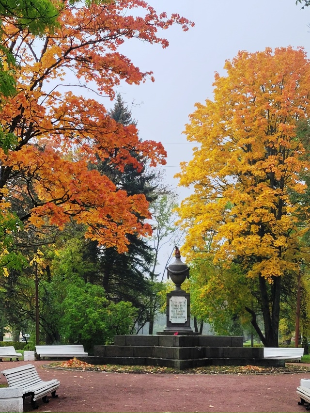 Петергоф. Площадь Жертв Революции. Октябрь 2024 г. Фото: О...