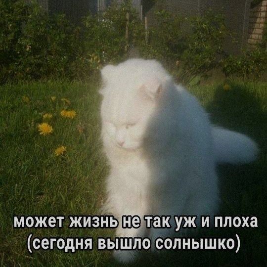 Ночная подборочка
Спать, режим
