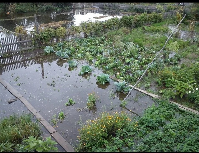 Хочется поговорить о наболевшем ?У кого тоже пропал у...