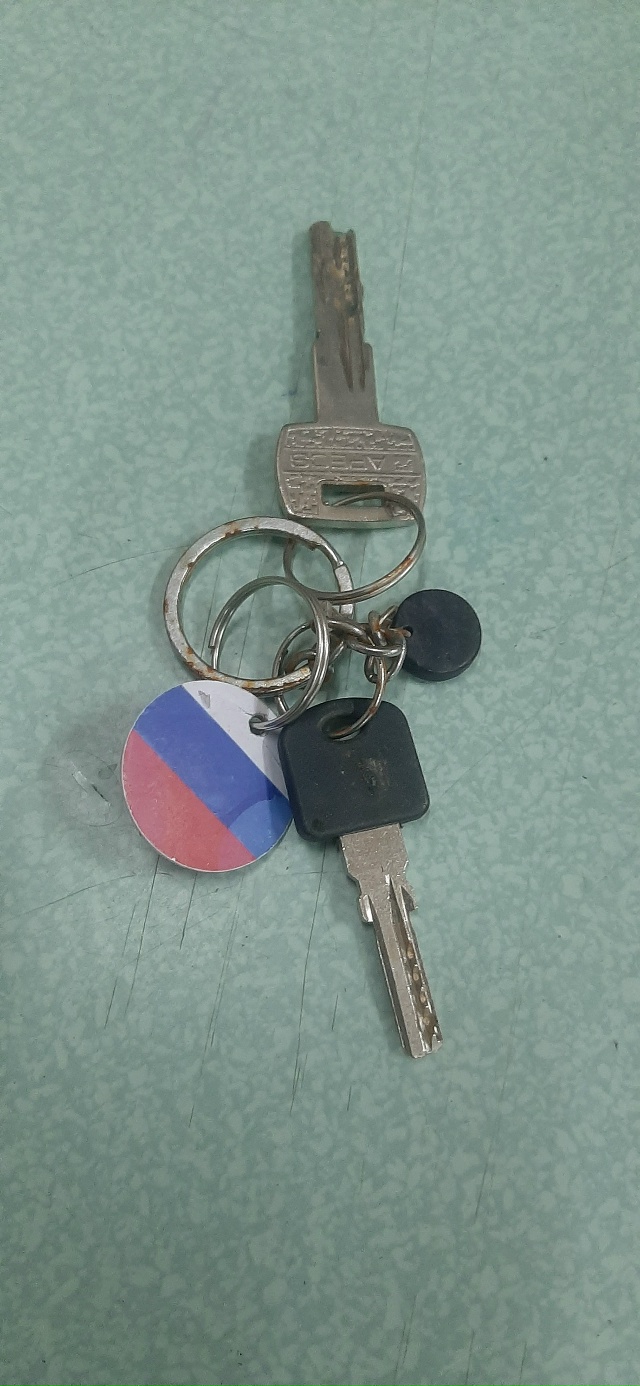 Чья потеряшка? Ключи находятся в магазине 220 вольт.