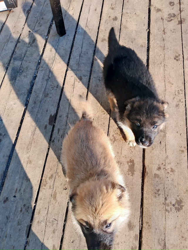 ‼️‼️‼️🆘🆘🆘‼️‼️‼️
ПРОШУ МАКСИМАЛЬНЫЙ РЕПОСТ‼...