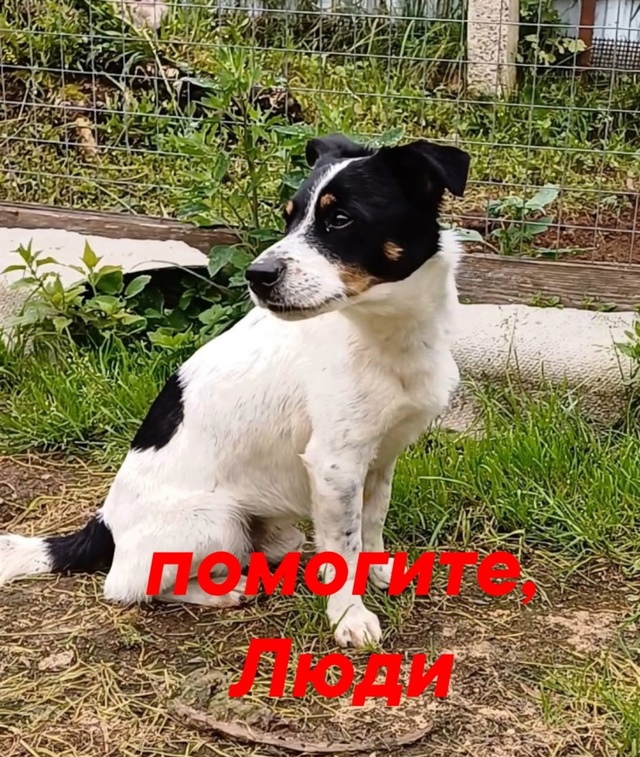 Пропустите, пожалуйста
🆘️🆘️🆘️🆘️🆘️🆘️🆘️🆘️?...
