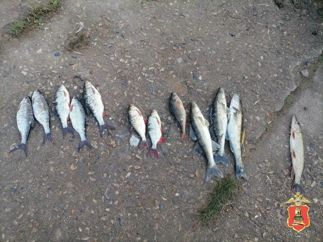 В Осташковском округе задержали браконьеров с сетью
...