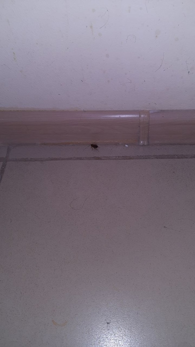 ? Жесть
Это детское инфекционное отделение