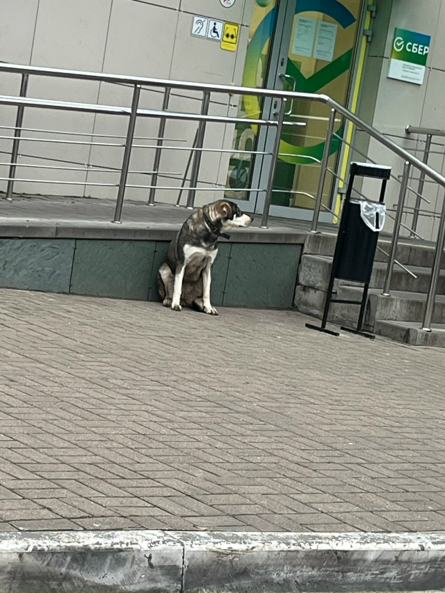 Может кто-то потерял друга ?