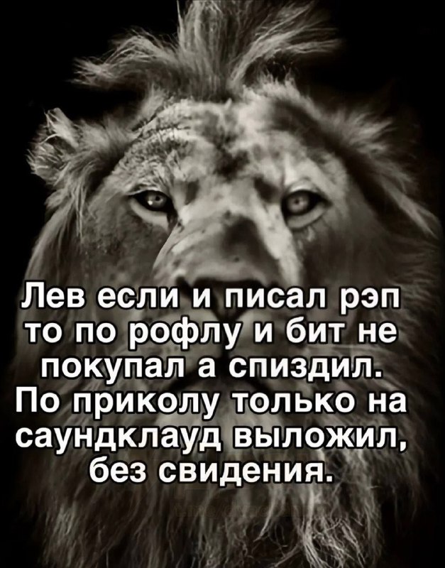 В Интернете появился новый мем