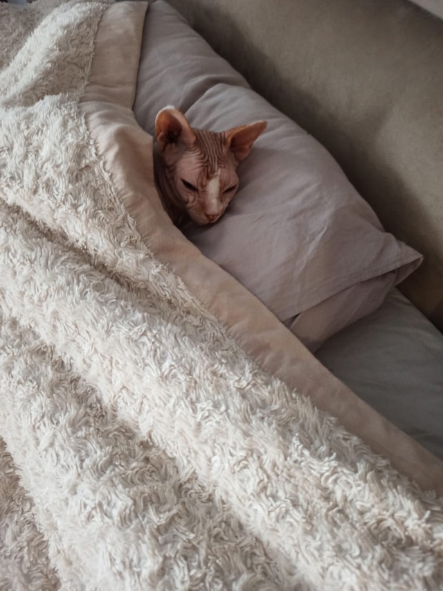 Это мой сын, Оливер
Он немного глупенький, но очень лас...