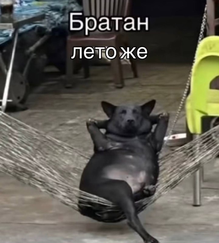 руководитель: «почему я должен отпускать тебя пораньше с работы?»
я: