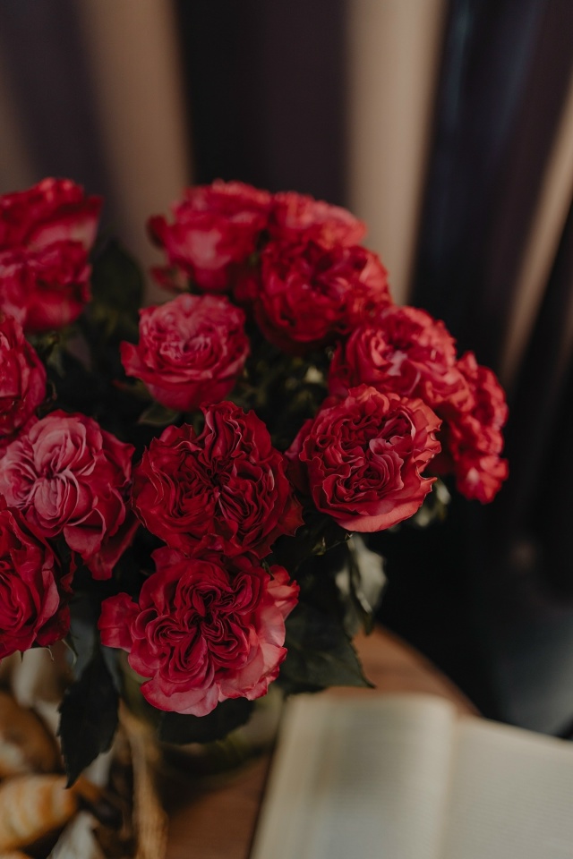 erid: 2VtzqwmdVDE
С нашими букетами согреваться легче 💛
PARTY BU...