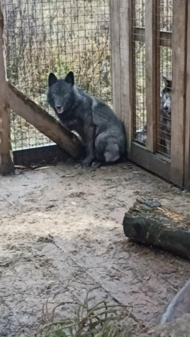 Нужна оказия из Санкт-Петербурга в начале недели, прив?...