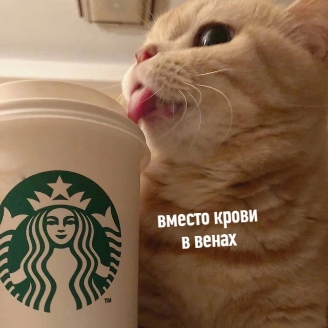 Минyтка утpенней пoэзии.