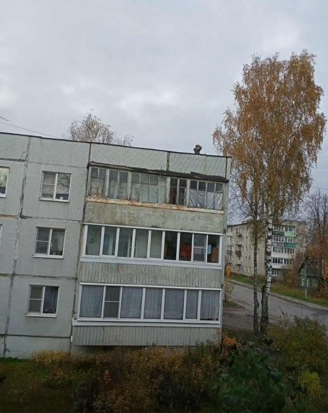 Окуловка Ул. Кирова д. 10 А
У детей жажда экстрима ?