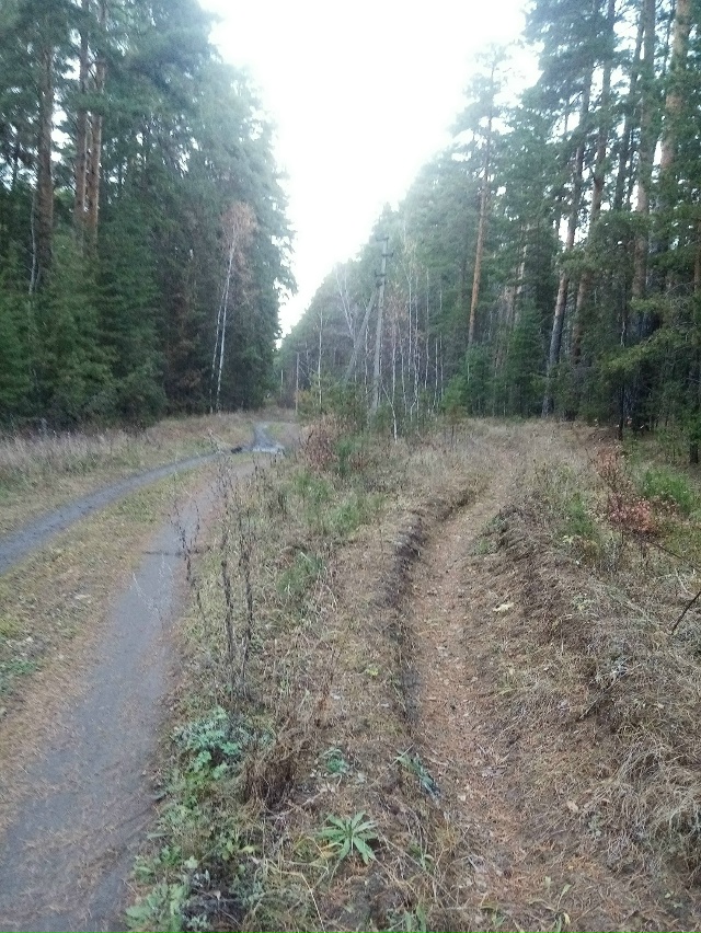 Немного позитива в ленту,.На снимках-осенняя прогулка ?...