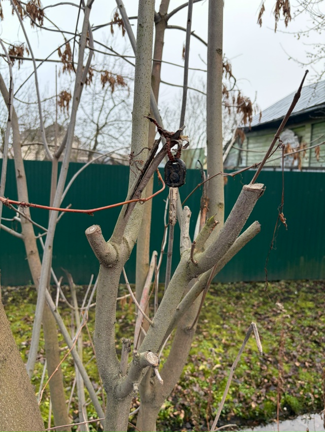 Найден ключ, повесили на дерево на против 15 дома ул Рев...