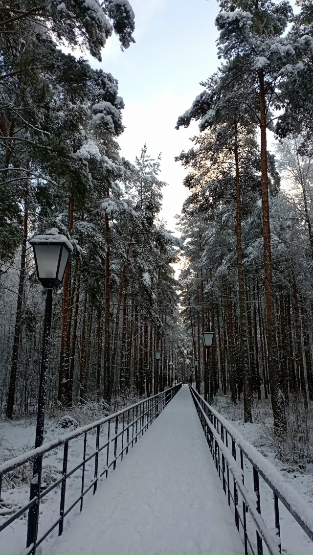 Немного зимней красоты))