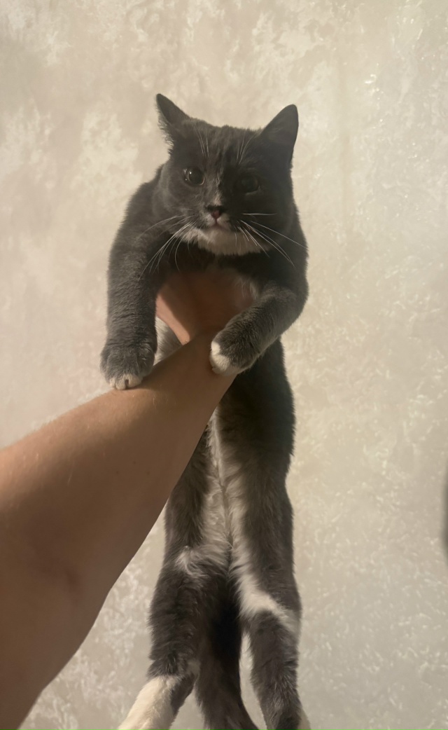 В районе железнодорожного вокзала Пермь II обнаружен и ...